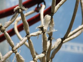 834686599_957b43e9bb